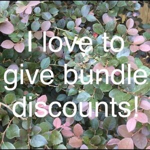 💰Bundle discounts! 💰